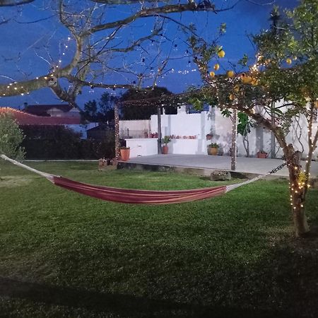 Casa Dos Avos Veras Aveiro Ngoại thất bức ảnh
