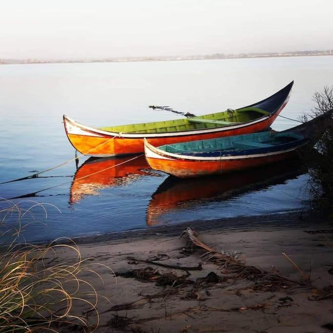 Casa Dos Avos Veras Aveiro Ngoại thất bức ảnh