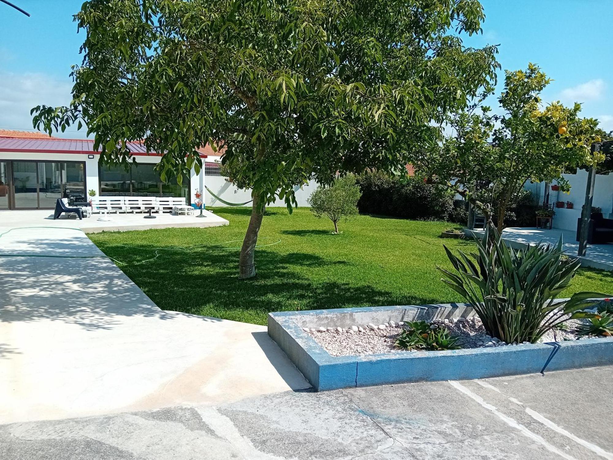 Casa Dos Avos Veras Aveiro Ngoại thất bức ảnh