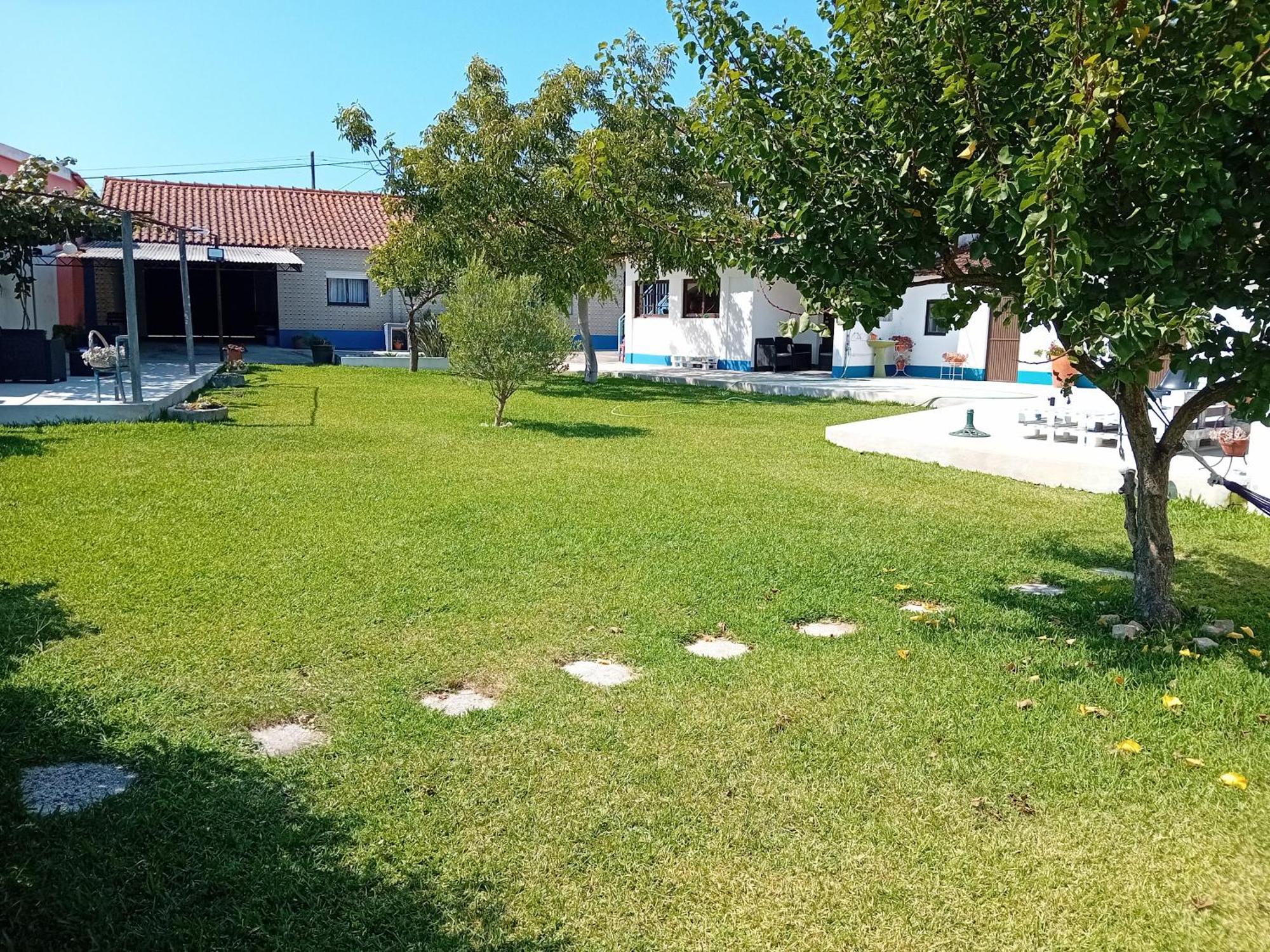 Casa Dos Avos Veras Aveiro Ngoại thất bức ảnh